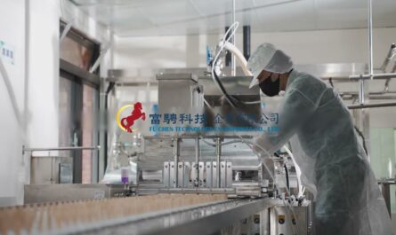 Full Automatic Production Line for Ice Cream and Popsicles