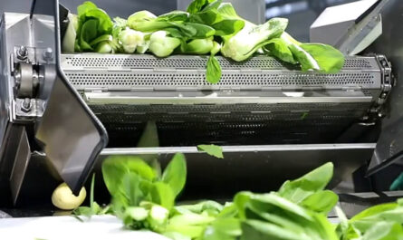 LONKIA Automatic Fruit and Vegetable Washing Production Line, Salad Vegetable Production Line