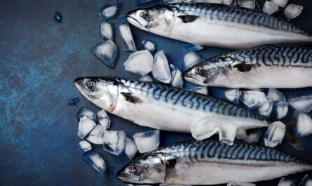 Narrow-Grilled Spanish Mackerel: Characteristics and Applications