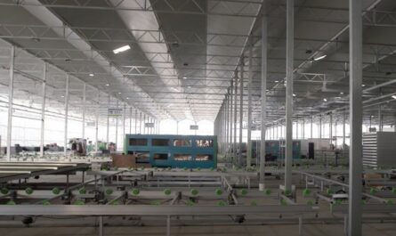 Seedling production line at Shanghai Yuanyi Seedling Co., Ltd.