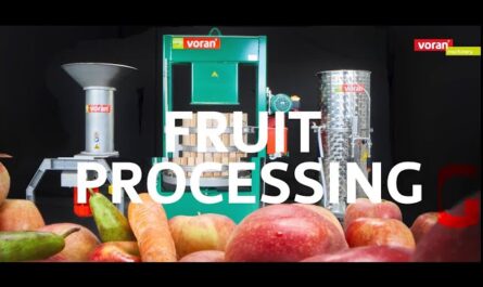 Small Organic Apple Juice Production Line VORAN MACHINERY