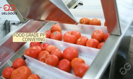 Small Scale Tomato Sauce Production Line from A to Z