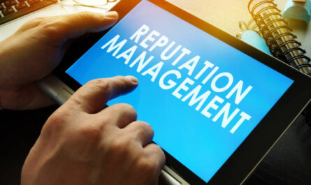 Start an Online Reputation Management Business - Business Plan Template