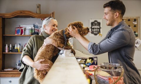The 10 Best Small Pet Business Ideas to Start at Home in 2021