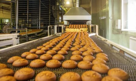 The process of making bread |  Modern technologies of the food industry |  Amazing bread making line in a factory