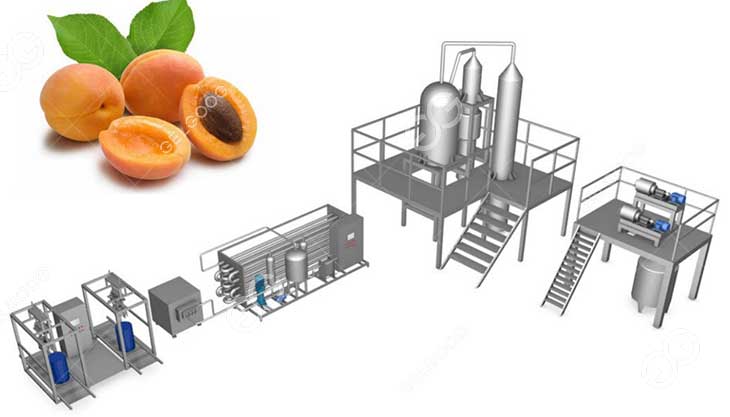 The process of making fruit jam |  Amazing Fruit Jam Production Line |  How fruit jam is made