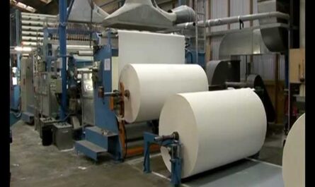 Toilet paper production line in a factory - Making toilet paper on a modern machine