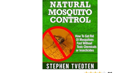 Esimerkki Mosquito Control -liiketoimintasuunnitelman mallista -