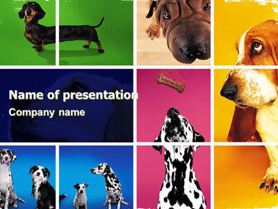 Contoh Template Rencana Bisnis Pelatihan Anjing -