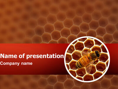Contoh Template Rencana Bisnis Peternakan Lebah Madu –