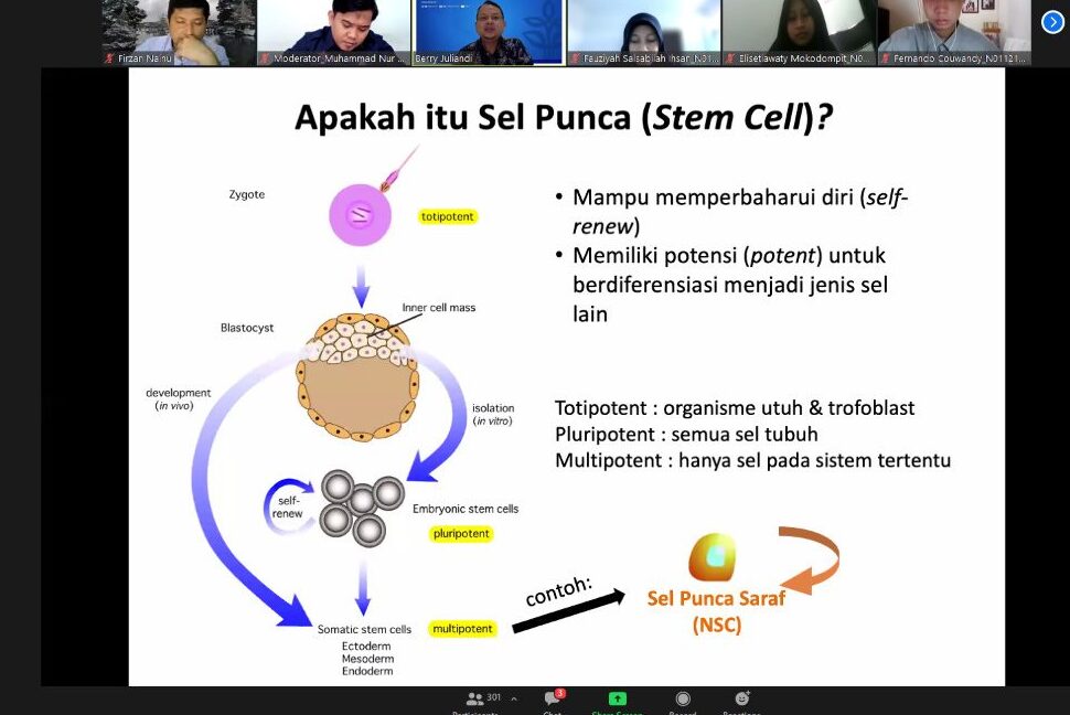 Contoh template rencana bisnis untuk terapi sel punca -