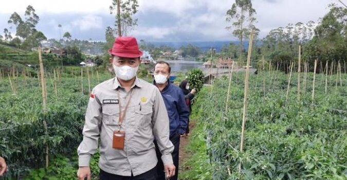 Meluncurkan rumah kaca di pertanian organik