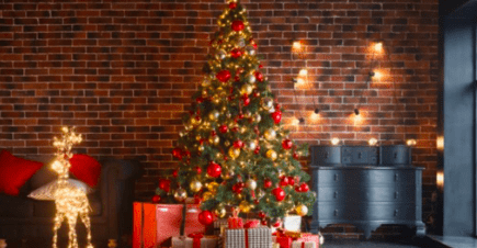 Memulai bisnis pohon Natal di pertanian -