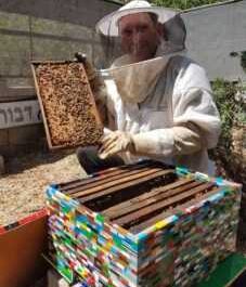 משק דבורים משיקים תבנית תוכנית עסקית