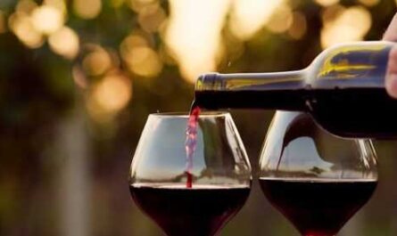 פתיחת עסק יין כמה עולה?