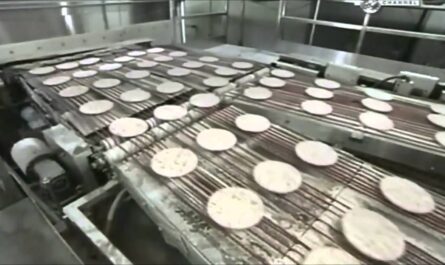איך מייצרים פיצה - קו ייצור אוטומטי של פיצה קפואה במפעל |  מפעל מזון
