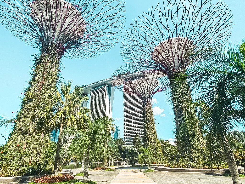 Een bedrijf starten in Singapore zonder geld als buitenlander –