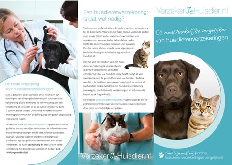 Oprichting van een huisdierenverzekeringsmaatschappij –