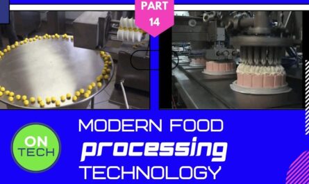 Dünya İnanılmaz Otomatik Patates Kızartması Üretim Hattı Modern Gıda İşleme Teknolojisi