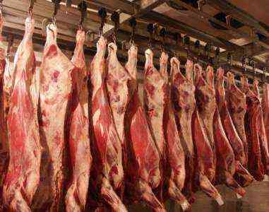 Образец шаблона бизнес-плана для мясного скота