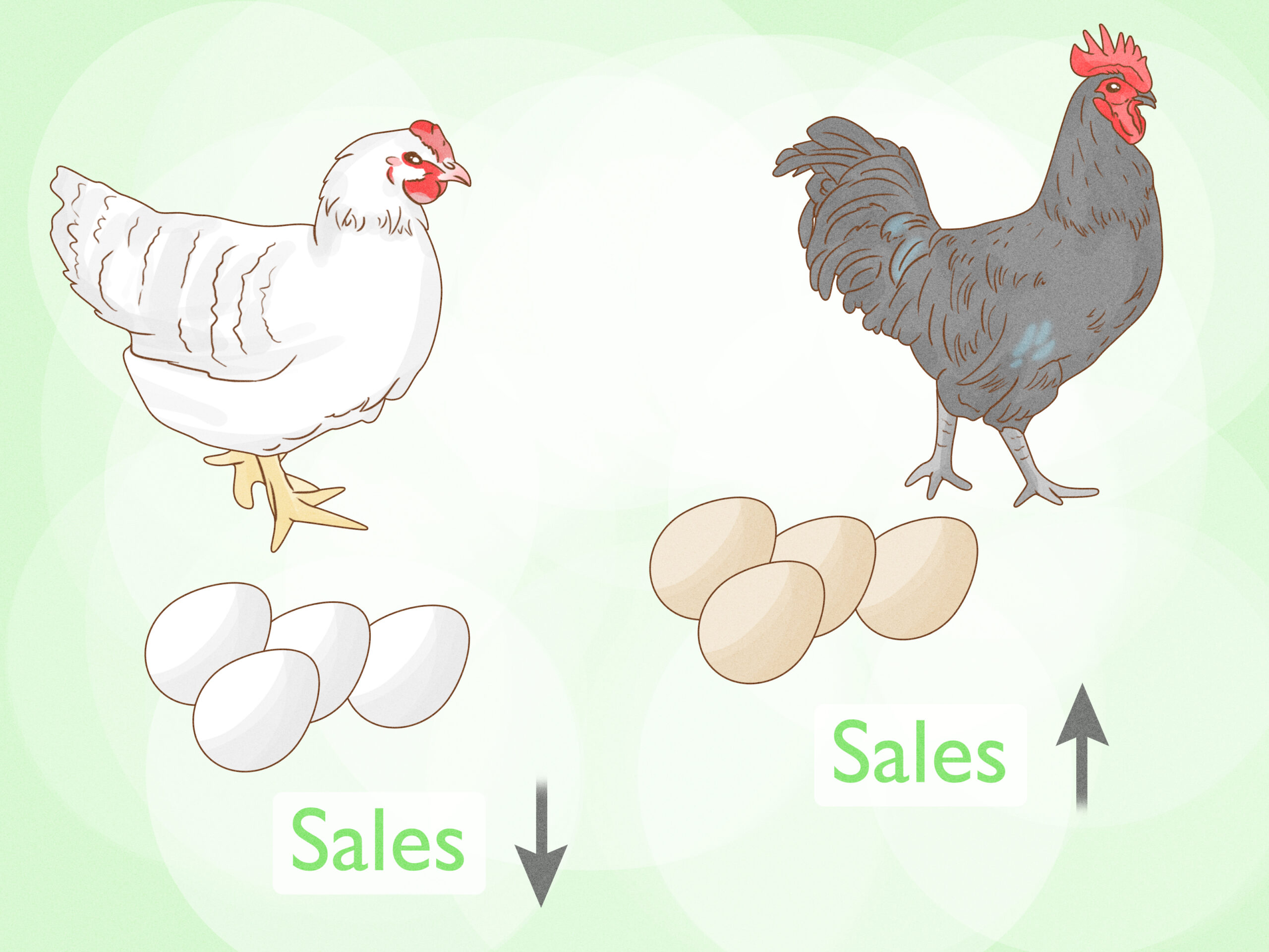Nankin Chicken Farming: стартовый бизнес-план для начинающих
