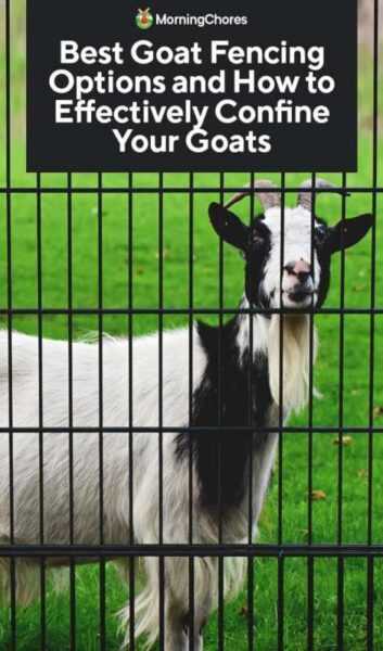 Ограждение из коз: все, что вам нужно знать о заборе для коз