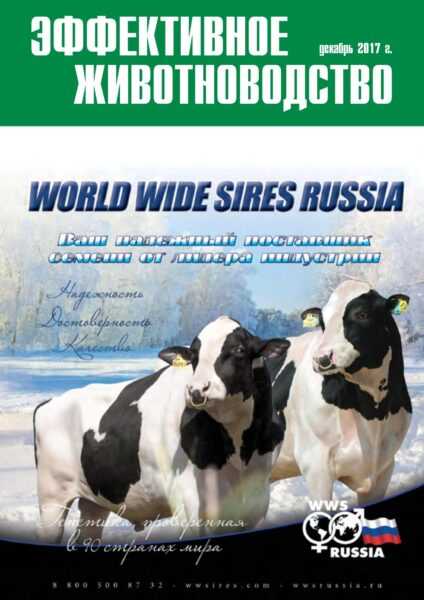 Корм для крупного рогатого скота: руководство по кормлению скота для лучшего производства молока и мяса