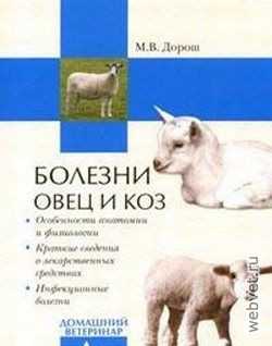 Характеристики коз и овец: внешний вид и поведение коз и овец