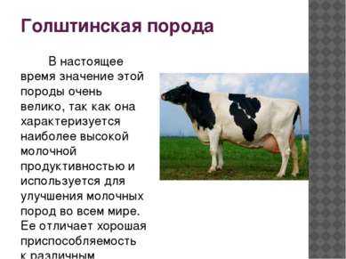 Крупный рогатый скот альбера: характеристики, использование и информация о породе