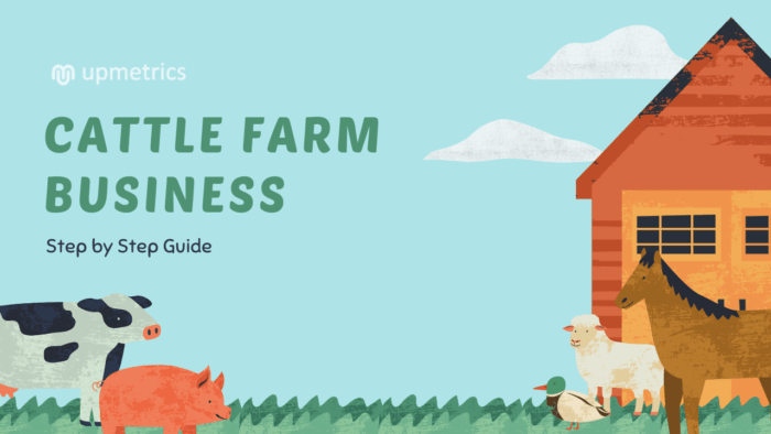 Armorican Cattle Farm: стартовый бизнес-план для начинающих