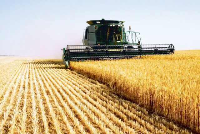 Образец шаблона бизнес-плана по выращиванию кукурузы